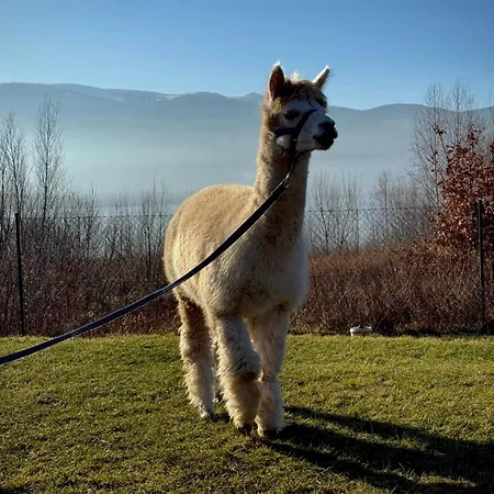 Hill Karkonosze & Hotel Sosnówka
