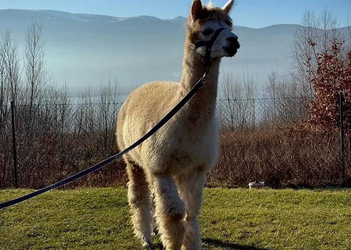 Hill Karkonosze & Hotel Sosnówka